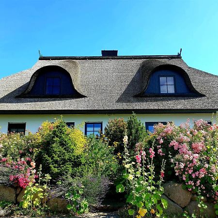 Insel Landhaus Bernstein Villa Gager Bagian luar foto