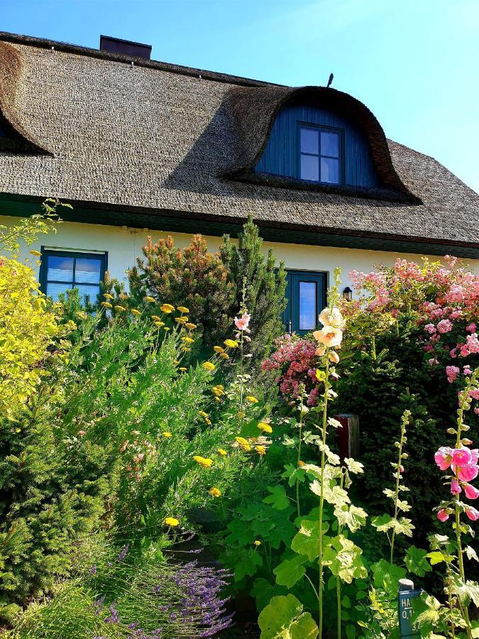 Insel Landhaus Bernstein Villa Gager Bagian luar foto